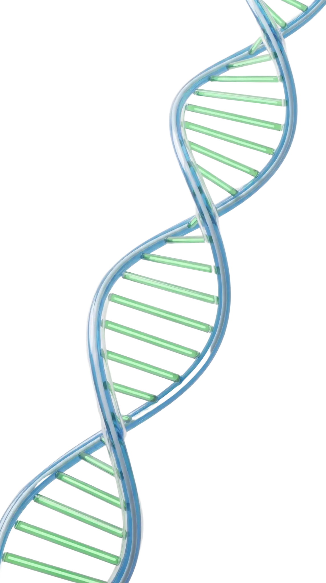 DNA double helix illustration